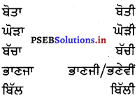 PSEB 8th Class Punjabi Vyakaran ਲਿੰਗ (1st Language) 19