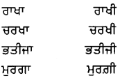 PSEB 8th Class Punjabi Vyakaran ਲਿੰਗ (1st Language) 21