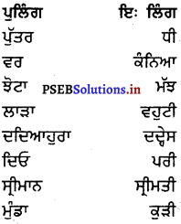 PSEB 8th Class Punjabi Vyakaran ਲਿੰਗ (1st Language) 26
