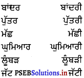 PSEB 8th Class Punjabi Vyakaran ਲਿੰਗ (1st Language) 3