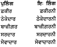 PSEB 8th Class Punjabi Vyakaran ਲਿੰਗ (1st Language) 4