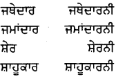 PSEB 8th Class Punjabi Vyakaran ਲਿੰਗ (1st Language) 5