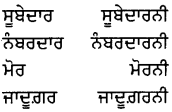PSEB 8th Class Punjabi Vyakaran ਲਿੰਗ (1st Language) 6