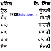 PSEB 8th Class Punjabi Vyakaran ਲਿੰਗ (1st Language) 7