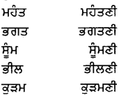 PSEB 8th Class Punjabi Vyakaran ਲਿੰਗ (1st Language) 9