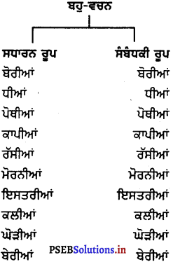 PSEB 8th Class Punjabi Vyakaran ਵਚਨ (1st Language) 10