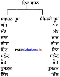PSEB 8th Class Punjabi Vyakaran ਵਚਨ (1st Language) 11
