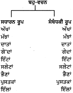 PSEB 8th Class Punjabi Vyakaran ਵਚਨ (1st Language) 12
