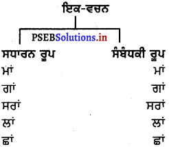 PSEB 8th Class Punjabi Vyakaran ਵਚਨ (1st Language) 13