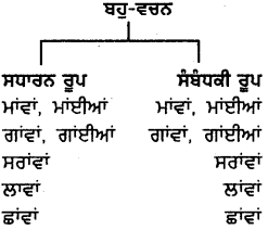 PSEB 8th Class Punjabi Vyakaran ਵਚਨ (1st Language) 14