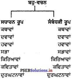 PSEB 8th Class Punjabi Vyakaran ਵਚਨ (1st Language) 16