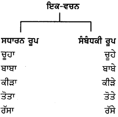 PSEB 8th Class Punjabi Vyakaran ਵਚਨ (1st Language) 3