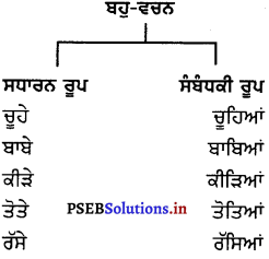 PSEB 8th Class Punjabi Vyakaran ਵਚਨ (1st Language) 4