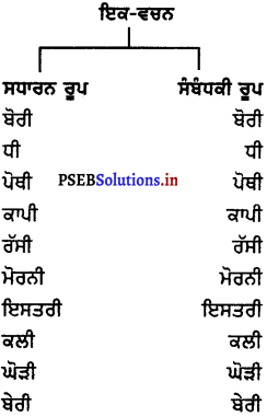 PSEB 8th Class Punjabi Vyakaran ਵਚਨ (1st Language) 9