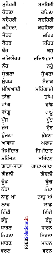 PSEB 8th Class Punjabi Vyakaran ਸ਼ਬਦ-ਜੋੜ (1st Language) 6