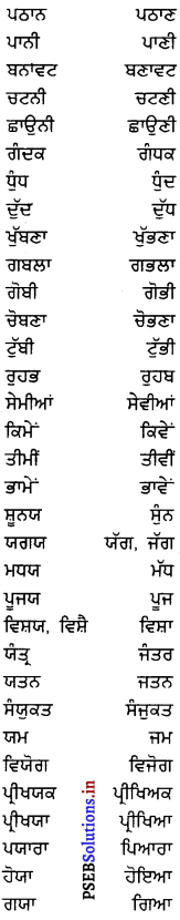PSEB 8th Class Punjabi Vyakaran ਸ਼ਬਦ-ਜੋੜ (1st Language) 8