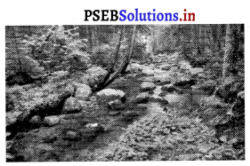 PSEB 8th Class Social Science Solutions Chapter 1 ਸਾਧਨ- ਕਿਸਮਾਂ ਅਤੇ ਸਾਂਭ-ਸੰਭਾਲ 1
