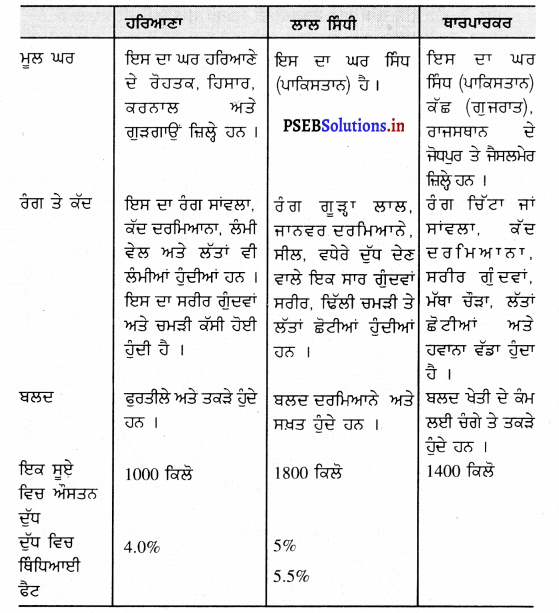 PSEB 9th Class Agriculture Solutions Chapter 6 ਪਸ਼ੂ ਪਾਲਣ 1