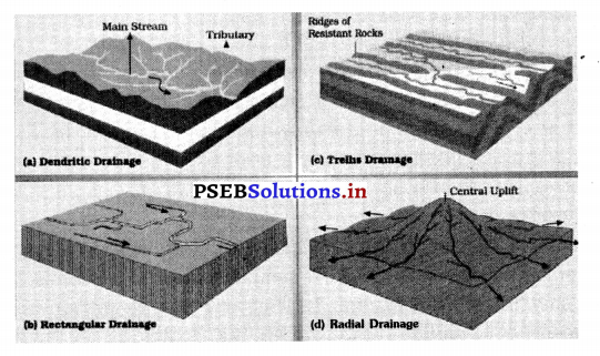 PSEB 9th Class SST Solutions Geography Chapter 3(a) ਭਾਰਤ ਜਲ ਪ੍ਰਵਾਹ 2