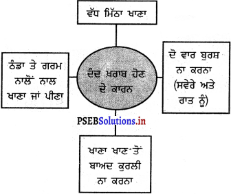 PSEB 5th Class Welcome Life Solutions Chapter 1 ਸਿਹਤ ਅਤੇ ਸਫ਼ਾਈ 10