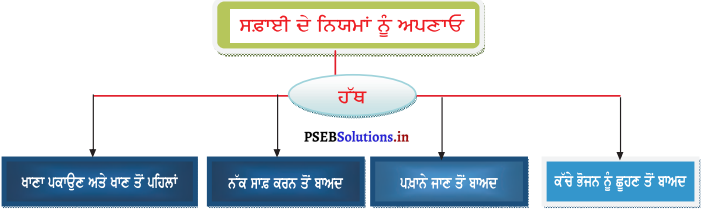 PSEB 5th Class Welcome Life Solutions Chapter 1 ਸਿਹਤ ਅਤੇ ਸਫ਼ਾਈ 8
