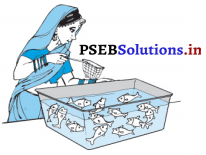 PSEB 10th Class Maths Solutions Chapter 15 ਸੰਭਾਵਨਾ Ex 15.1 7