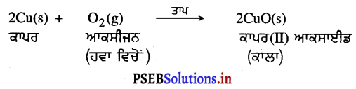 PSEB 10th Class Science Solutions Chapter 1 ਰਸਾਇਣਿਕ ਕਿਰਿਆਵਾਂ ਅਤੇ ਸਮੀਕਰਣਾਂ 13