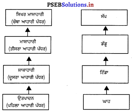 PSEB 10th Class Science Solutions Chapter 15 ਸਾਡਾ ਵਾਤਾਵਰਨ 1