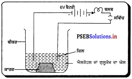 PSEB 10th Class Science Solutions Chapter 2 ਤੇਜ਼ਾਬ, ਖਾਰ ਅਤੇ ਲੂਣ 1