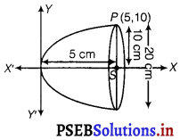 PSEB 11th Class Maths Solutions Chapter 11 Conic Sections Miscellaneous Exercise 1