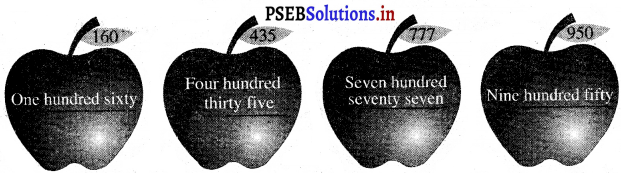 PSEB 3rd Class Maths Solutions Chapter 1 Numbers 145