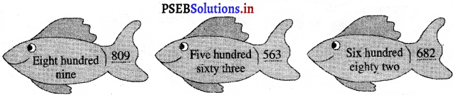 PSEB 3rd Class Maths Solutions Chapter 1 Numbers 147