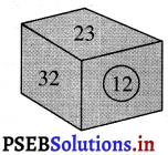 PSEB 3rd Class Maths Solutions Chapter 1 Numbers 16