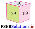 PSEB 3rd Class Maths Solutions Chapter 1 Numbers 17