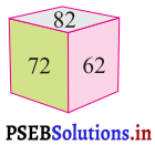 PSEB 3rd Class Maths Solutions Chapter 1 Numbers 21