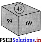 PSEB 3rd Class Maths Solutions Chapter 1 Numbers 22