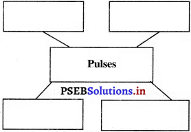 PSEB 5th Class EVS Solutions Chapter 10 Storage and Preservation of Food 2