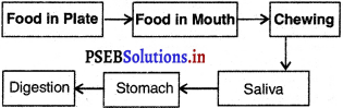 PSEB 5th Class EVS Solutions Chapter 12 Eat and Digest Food 5