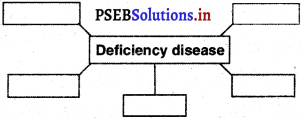 PSEB 5th Class EVS Solutions Chapter 13 Deficiency Diseases 3