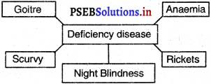 PSEB 5th Class EVS Solutions Chapter 13 Deficiency Diseases 4