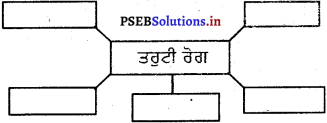 PSEB 5th Class EVS Solutions Chapter 13 ਤਰੁਟੀ ਰੋਗ 1