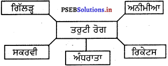 PSEB 5th Class EVS Solutions Chapter 13 ਤਰੁਟੀ ਰੋਗ 2