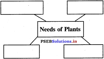PSEB 5th Class EVS Solutions Chapter 14 Insectivorous Plants 4