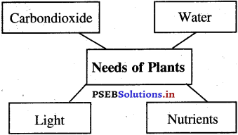PSEB 5th Class EVS Solutions Chapter 14 Insectivorous Plants 5