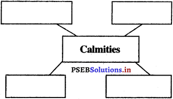 PSEB 5th Class EVS Solutions Chapter 16 Community and Comfort 1