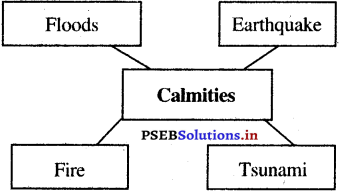 PSEB 5th Class EVS Solutions Chapter 16 Community and Comfort 2