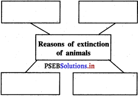 PSEB 5th Class EVS Solutions Chapter 6 Earth – Our Home Too 1