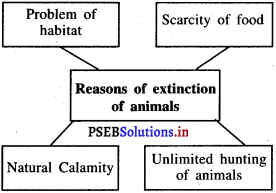 PSEB 5th Class EVS Solutions Chapter 6 Earth – Our Home Too 2