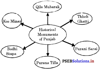 PSEB 5th Class EVS Solutions Chapter 21 Glimpses of Past 6