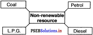 PSEB 5th Class EVS Solutions Chapter 22 Natural Resources 4